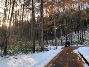 【黒姫保養地】439坪！広大な森の中の土地☆野尻 黒姫山【土地-62】のイメージ
